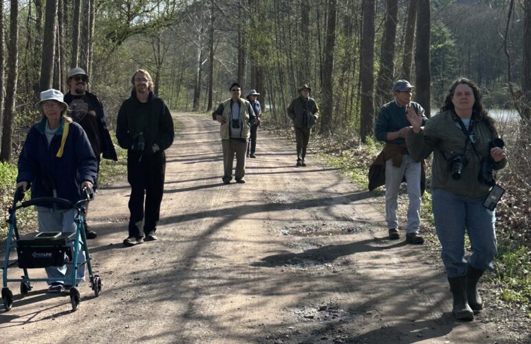 Becoming a birder is a fun hobby for all